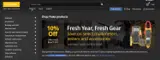FLUKE-10-FRESHGEAR coupon verification screenshot