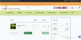 AMANDA10 coupon verification screenshot