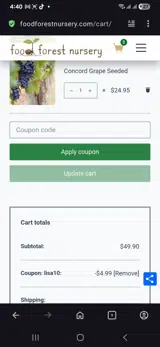 Lisa10 coupon verification screenshot