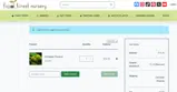 AMANDA10 coupon verification screenshot