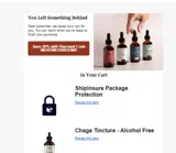 MOREMUSHROOMS coupon verification screenshot