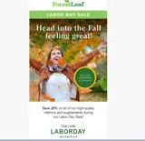 LABORDAY coupon verification screenshot