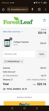 FIREWORKS20 coupon verification screenshot