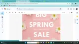 SPRING coupon verification screenshot