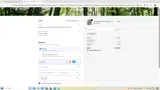 FRANKS20 coupon verification screenshot