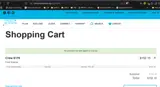 DOMAIN coupon verification screenshot