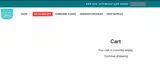 BLACKFRIDAY coupon verification screenshot