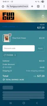 Fun Guy coupon verification screenshot