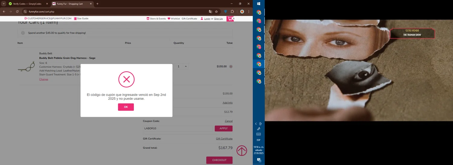 Funny Fur promo code screenshot showing code LABOR10 applied at Funny Fur checkout page. Uploaded by SimplyCodes community member DealElite4728 on Sep 27, 2025