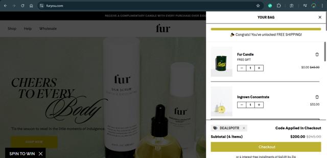 Fur checkout page showing Fur discount code box | Screenshot taken by SimplyCodes community member on Dec 10, 2024