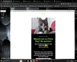 afterprimedaydeal coupon verification screenshot