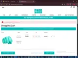 FuzzYard coupon verification screenshot