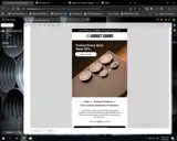 SPRING coupon verification screenshot