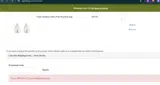 PATRICK17 coupon verification screenshot
