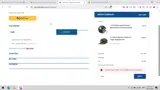 Gameday Detroit coupon verification screenshot