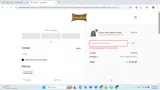 PRESEASON20 coupon verification screenshot