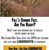 LABORDAY20 coupon verification screenshot