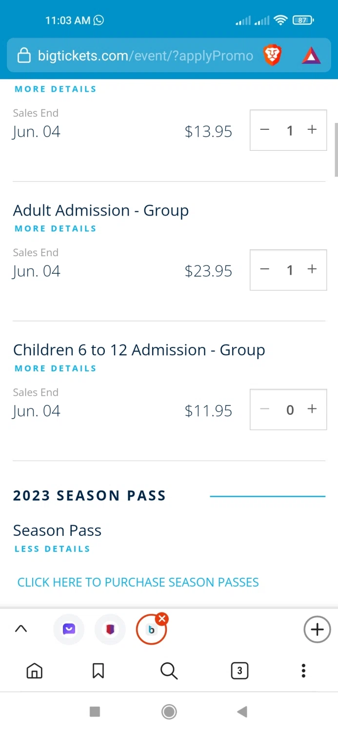 Georgia Renaissance Festival checkout page showing Georgia Renaissance Festival promo code box | Screenshot taken by SimplyCodes community member on May 8, 2023