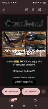 Gaudenzi Boutique coupon verification screenshot