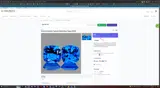 SALES coupon verification screenshot