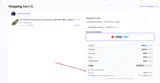 spring coupon verification screenshot