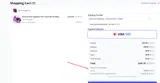spring coupon verification screenshot