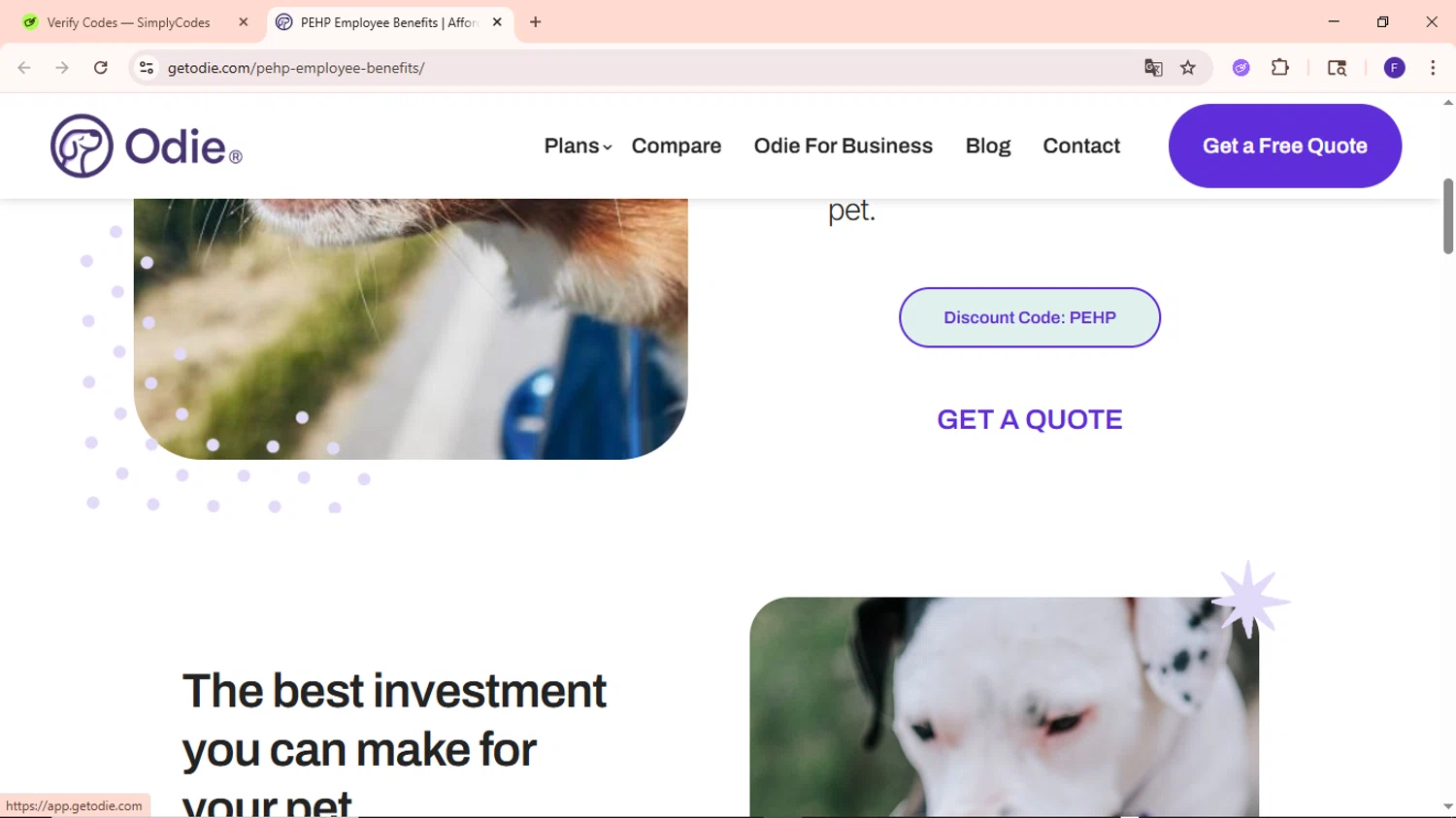 Odie Pet Insurance checkout page showing Odie Pet Insurance discount code box | Screenshot taken by SimplyCodes community member on Jul 26, 2025