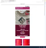 VDAY2025 coupon verification screenshot