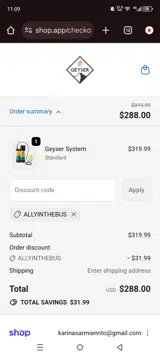 ALLYINTHEBUS coupon verification screenshot