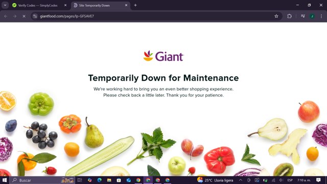 Giant Food checkout page showing Giant Food promo code box | Screenshot taken by SimplyCodes community member on May 8, 2025