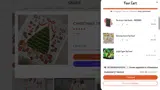 Gingiber coupon verification screenshot