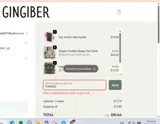 Gingiber coupon verification screenshot