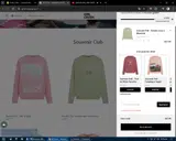 Girl Crush Gang coupon verification screenshot