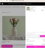 CHECKOUT15 coupon verification screenshot
