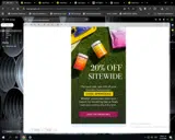 SPRINGSALE coupon verification screenshot