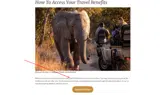 EXPCON2026 coupon verification screenshot