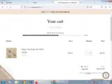 GOBE44 coupon verification screenshot