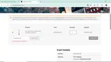 Godin Guitars coupon verification screenshot