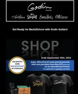 Godin Guitars coupon verification screenshot