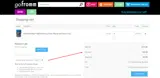 GoFromm.com coupon verification screenshot