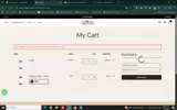 HYYVWW coupon verification screenshot