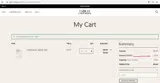 1ZN17I coupon verification screenshot