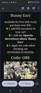Date coupon verification screenshot