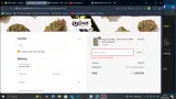 GOLDVIBES20 coupon verification screenshot