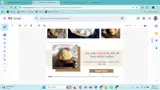 Gourmet Attitude coupon verification screenshot