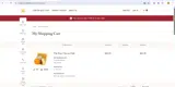 SAVE30 coupon verification screenshot