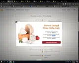 SAVE15 coupon verification screenshot