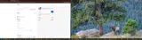 DARGA coupon verification screenshot