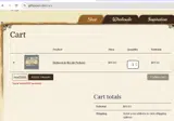 Graphic 45 coupon verification screenshot
