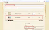 Graphic 45 coupon verification screenshot